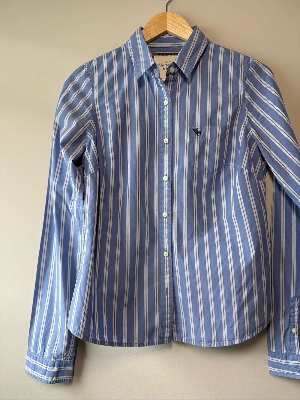 Y2K Abercrombie & Fitch Blue White Striped Button Front Shirt Large